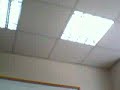 test1