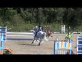 TODD MINIKUS .......Rolando 7yr grey gelding ... ROLANDO 2ND ROUND 