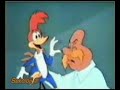 A?aç Kakan Woody Woodpecker A?aç Kakan Woody Woodpecker