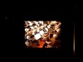 by r�zsa

john williams at the hollywood bowl - september 2, 2005 w/ los angeles philharmonic

video shake cause i was cold