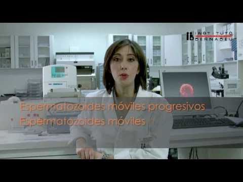 Seminograma y estudios del semen avanzados (FISH Y TUNEL)