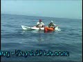 Matt Moyer Joins the LJKF Bill Fish Club