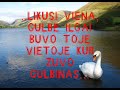Labai liudna istorija