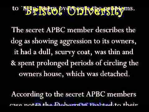 how to avoid quackery