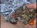 Man Keeps Trash For A Year