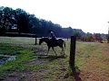 Ik en Pebbles in t bos op buitenrit