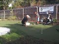 Teaching Kids Golf...