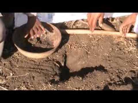 how to collect soil samples