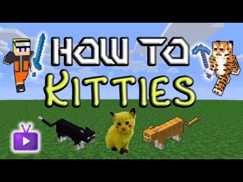 how to tame a cat in minecraft mo creatures