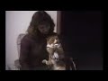 chats-1-classique-humour-00012.html
