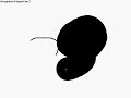 Microsoft Paint Secrets