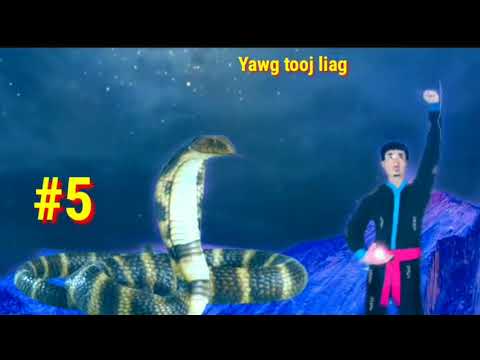 Yawg tooj liag qaib cuab ntu #5