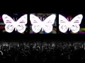 ??????????? ? Perfume Live Tour \"Butterfly\" ? ?