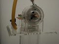 Another Tesla Turbine Not Coil