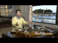 �彣��ʬ���δѸ��ʽ��ӡ�.mpeg:YouTube������=68��