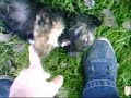 Lil\