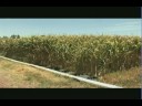 Manejo eficiente del agua y fertilizantes mediante un sistema de riego de tubería multicompuertas en el cultivo de maíz