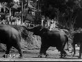 Charming Ceylon 1931 Charming Ceylon 1931