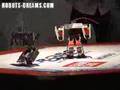 ROBO-ONE-13-Taekwon-