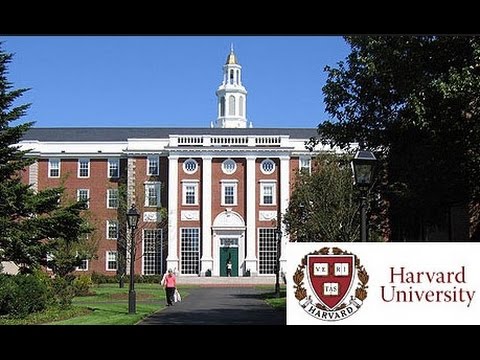 harvard university accepted essays harvard university accepted essays