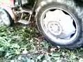 video ringtones