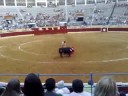 Indulto Finito de Cordoba Toiros Varela Corujo (parte 3 )