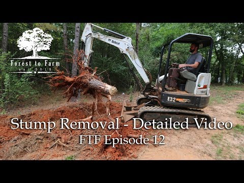 Clearing House Sites - Digging Stumps Detailed Video