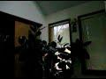 Ontari tanamelane priya