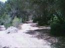 5 cros de sant jaume