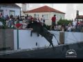 Bull # 52 "Immediate Danger" 1 Part