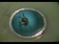 Old School Levitation (grasshopper)
