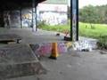 Kirstin Gregstown and other stuff