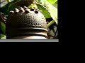 Video Gallery of Charles Smith Pottery