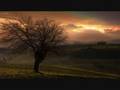 Beyond-Tri-State-DOW