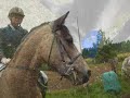 Tuntiratsastajien Aluemestaruuskilpailut '08