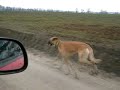 turbi tuning