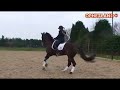 Train spieren op je paard, deel 2