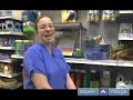 How to Care for Turtles : Turtle Tank Filtration Systems