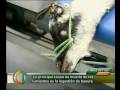 nicola barbera a las palmas de gran canaria - operazione chirurgica su tele canarias