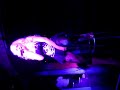 michelle-marsh-live.html