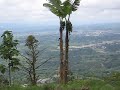 Panoramic View of Armenia/Quindío Panoramic View of Armenia/Quindío
