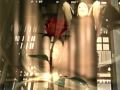 clip video Tina Arena 7 Vies