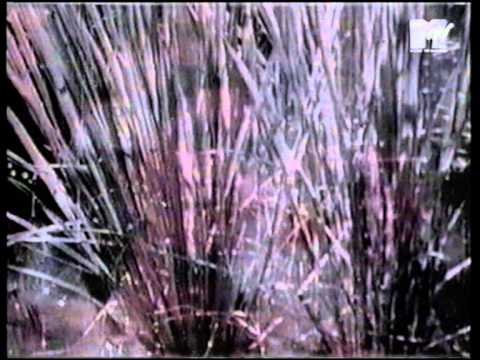 Aphex Twin & Stakker - Westworld (1995)