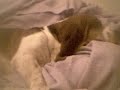 Buster being buster