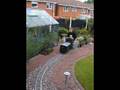 Lewis drives the Tram past the greeenhouse