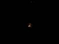 videos de ROCKIN BOMBS 3.3g2