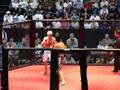 Nick Diaz Vs Ray Stienbiess