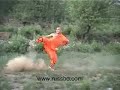 Chinese kongfu