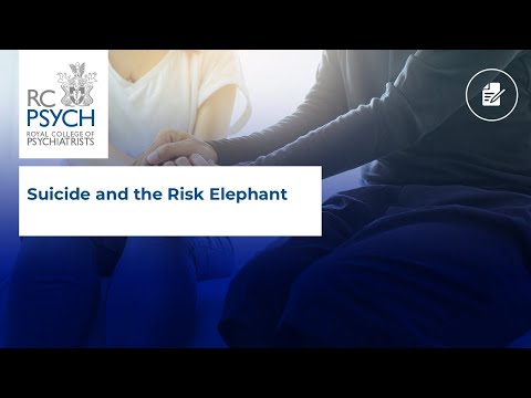 Suicide and the risk elephant