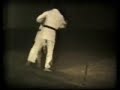 Tecnica eseguita dal Maestro Koike